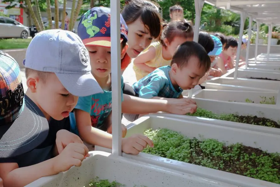Trường mầm non TD Kids