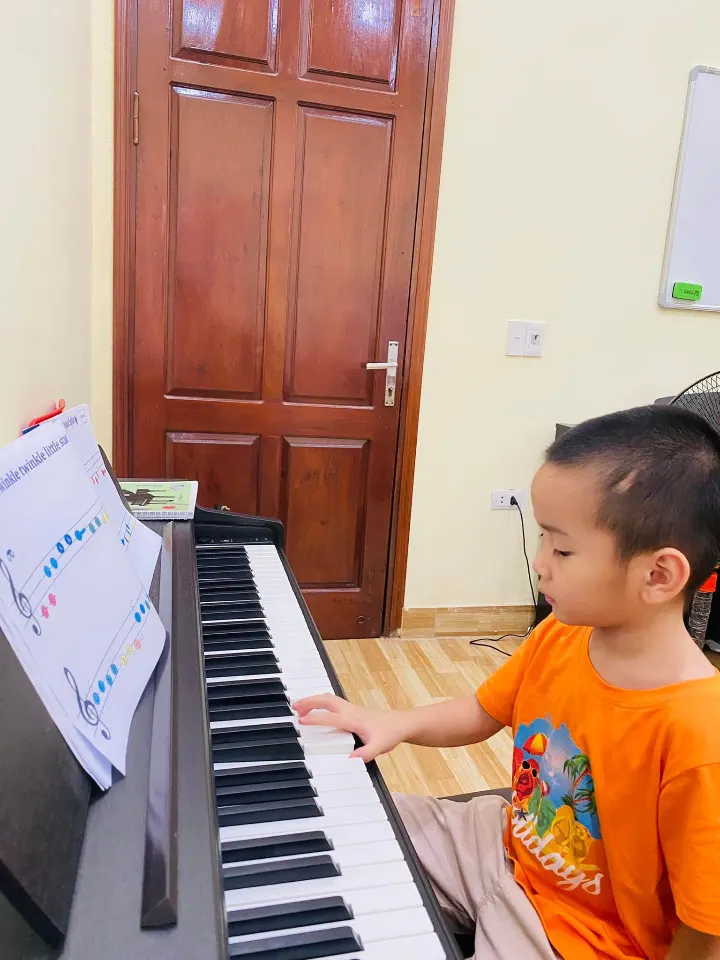 Trung Tâm Nghệ Thuật Hoa Hướng Dương (SFAC)