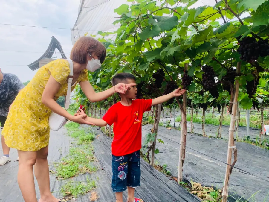 Trung Tâm Giáo Dục Hoà Nhập Bình Minh