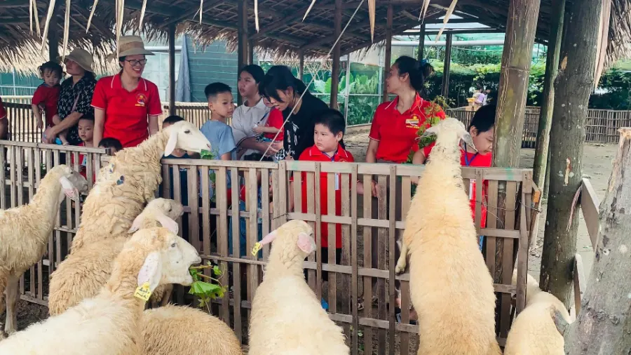 Trung Tâm Giáo Dục Hoà Nhập Bình Minh