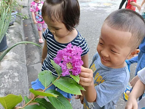 Trường Mầm Non Nụ Cười Hồng- An Phú