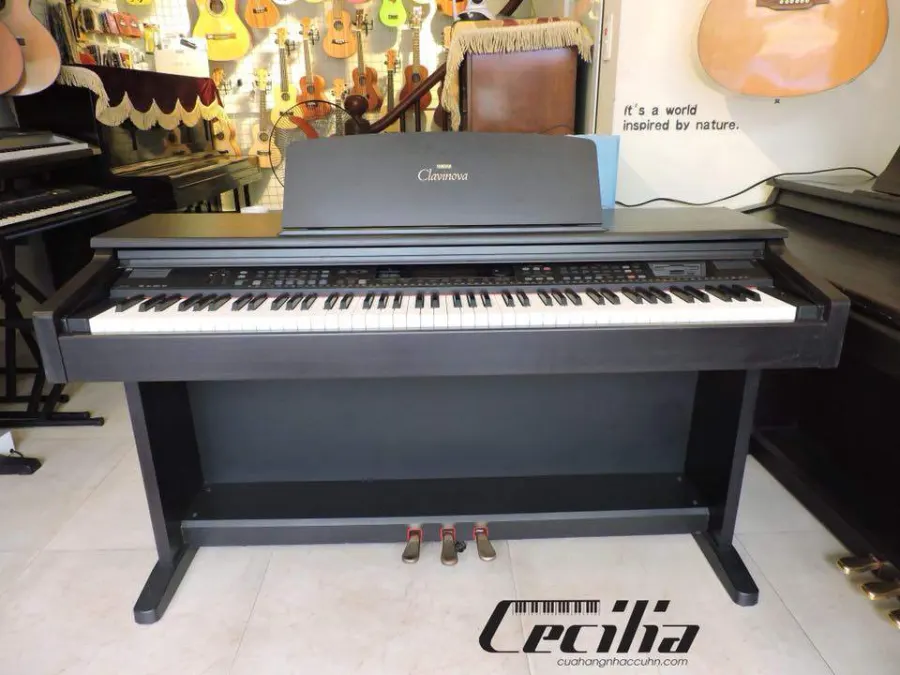 Trung Tâm Âm Nhạc Và Biểu Diễn Nghệ Thuật Cecilia