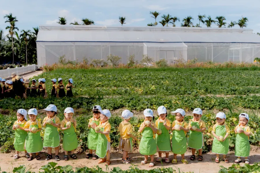 Trường Mầm Non Little Seed (Little Seed Preschool)