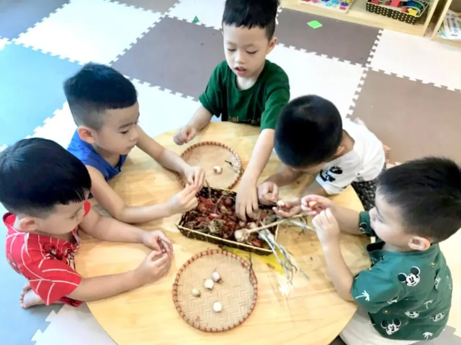 Trường Mầm Non Vietkids