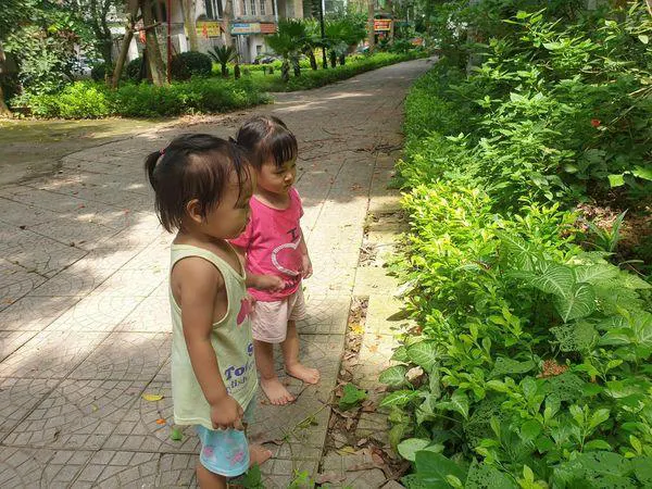 Trường Mầm Non Tinh Hoa Bird's Garden