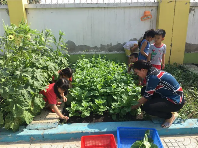 Trường Mầm non 19/8 - Xuân Thới Sơn, Hóc Môn