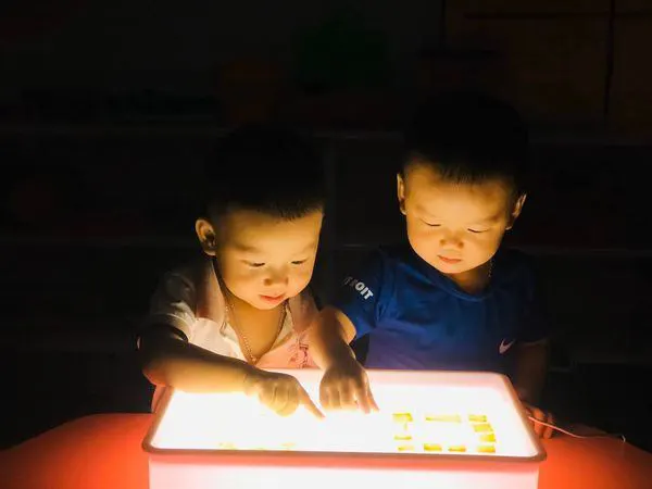 Trường Mầm Non Quốc Tế Hoa Trà My (Camellia School)