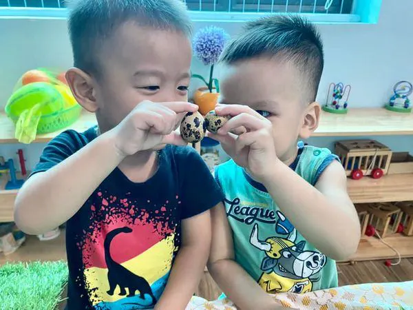 Trường Mầm Non Trẻ Thơ Việt 2