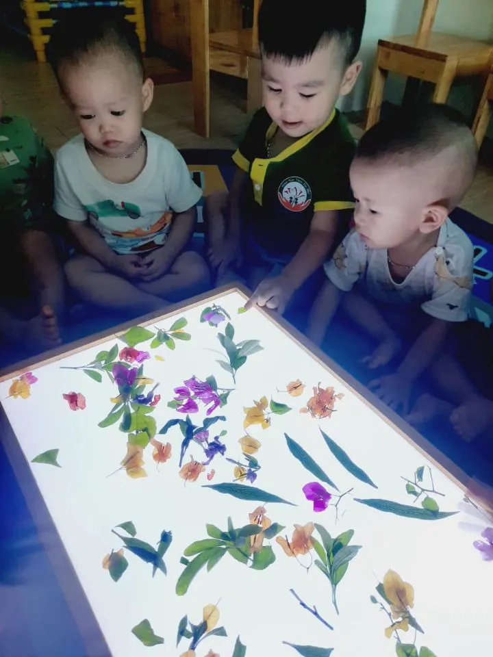 Trường Mầm Non Vườn Trẻ Thơ