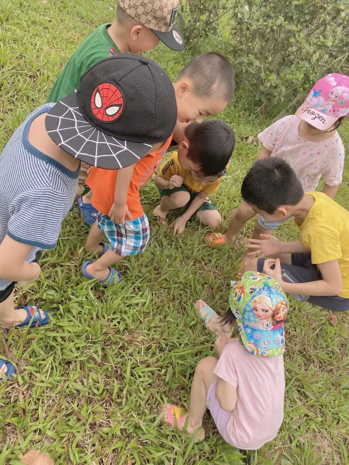 Trường Mầm Non Sun Flower