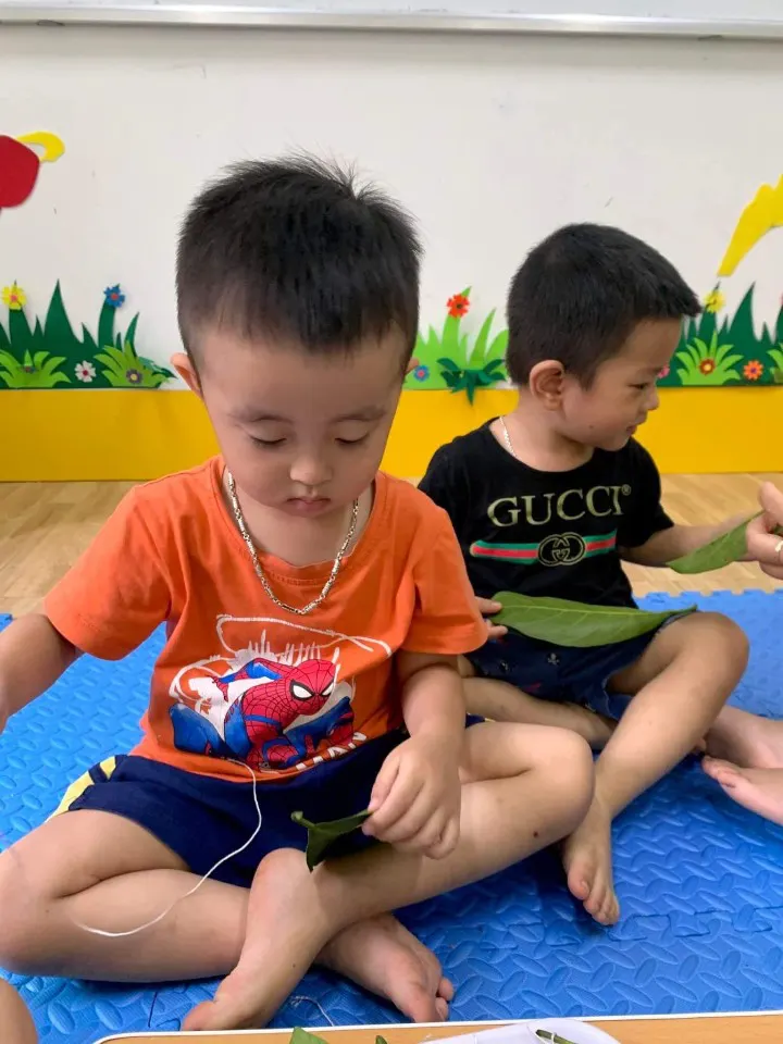Trường Mầm Non Song Ngữ Better