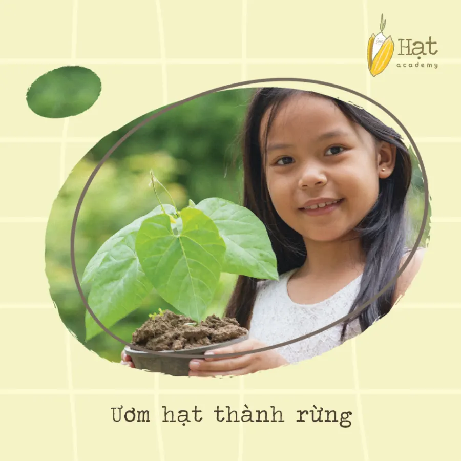 Trường Mầm Non Hạt (Hạt Academy Preschool)