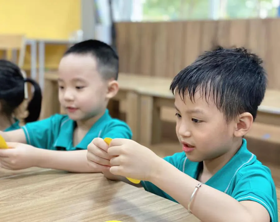Trường Mầm Non Hoa Sen CS2