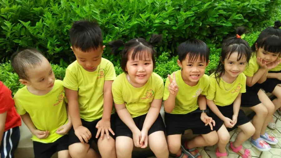 Trường Mầm Non Bông Sen Hồng - KĐT Dương Nội