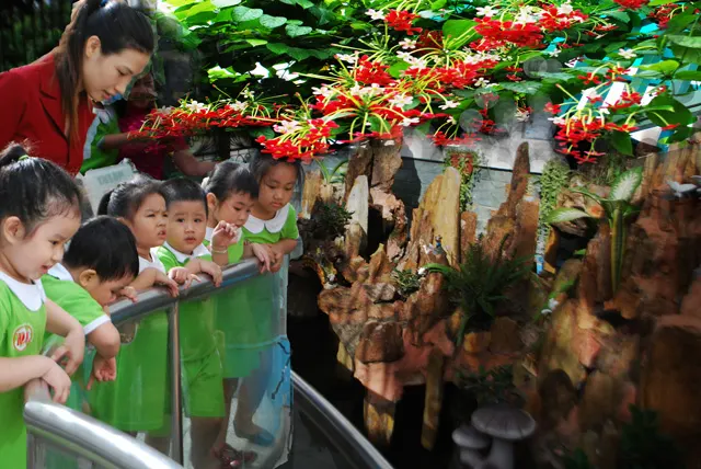 Trung Tâm Ngoại Ngữ Nam Mỹ (ASIE)