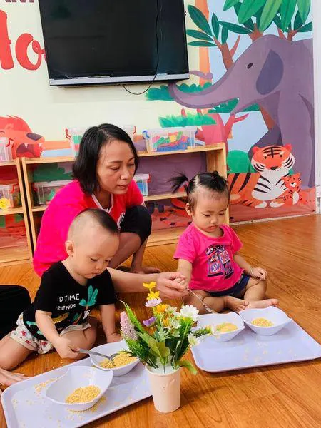 Trường Mầm Non Hoa Sen