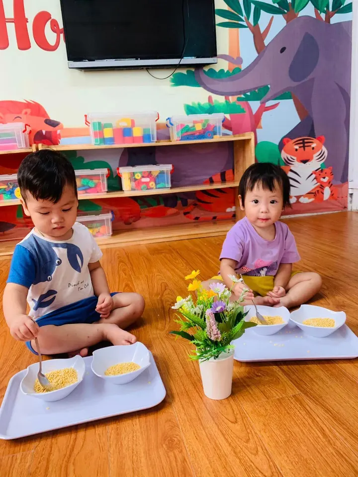 Trường Mầm Non Hoa Sen