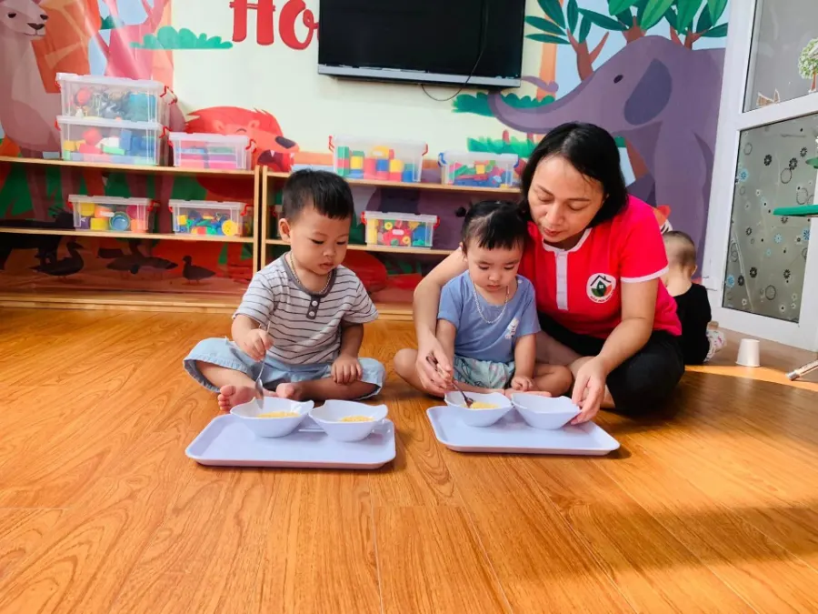 Trường Mầm Non Hoa Sen