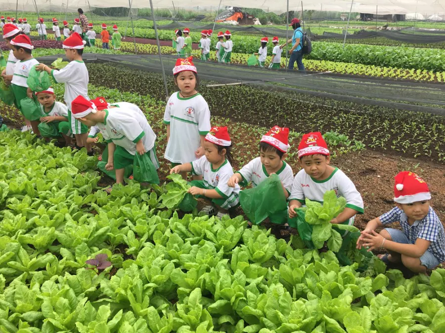 Trường Mầm Non 3