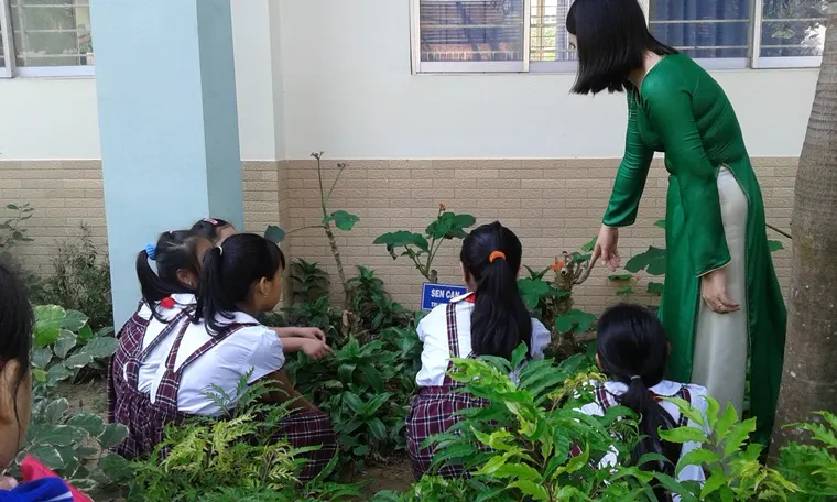 Trường Tiểu Học Ngô Mây