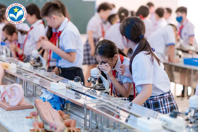 Trường Liên Cấp Mầm Non - Phổ Thông Sao Việt