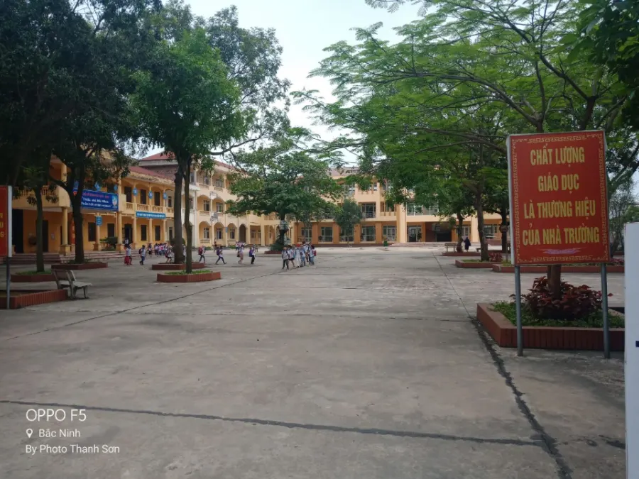 Trường tiểu học Phượng Mao