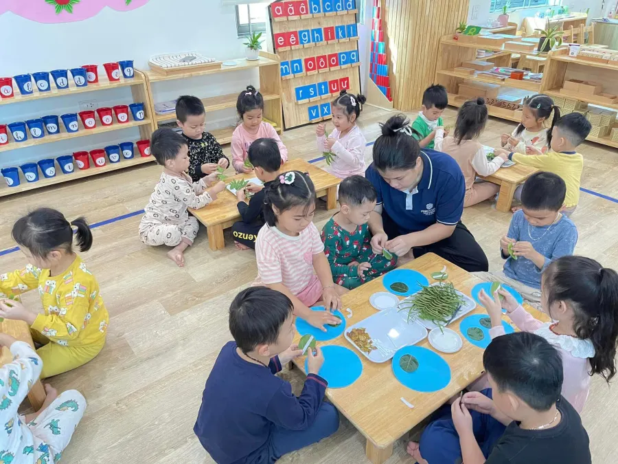 Hệ thống Mầm non Pink House Montessori