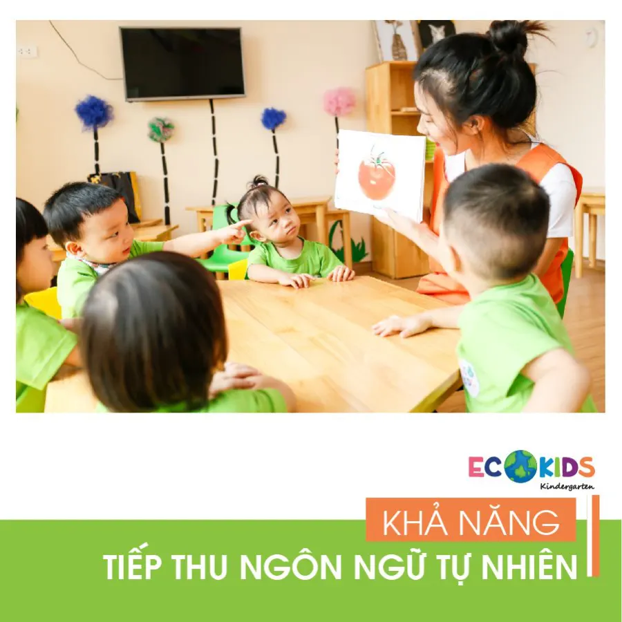 Trường mầm non Ecokids Ecopark 1