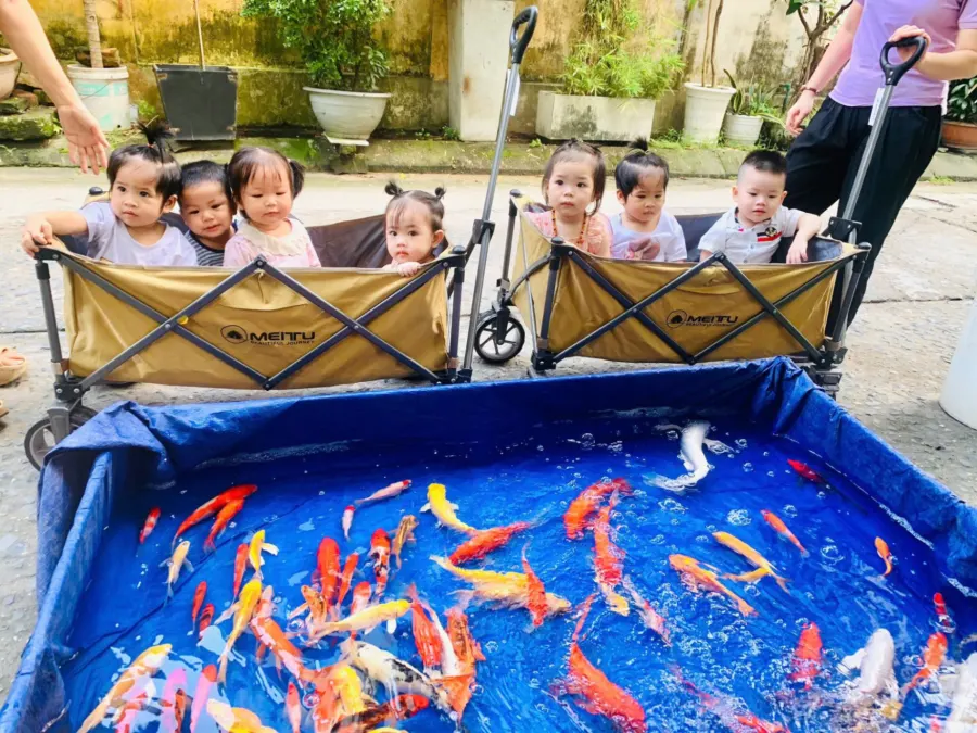 Trường mầm non Happy Smile (HSM Preschool)
