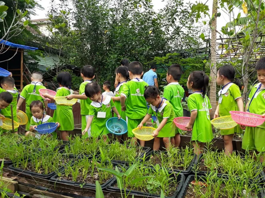 Trường mầm non Nam Mỹ (ASIE) - Bạch Đằng, Tân Bình