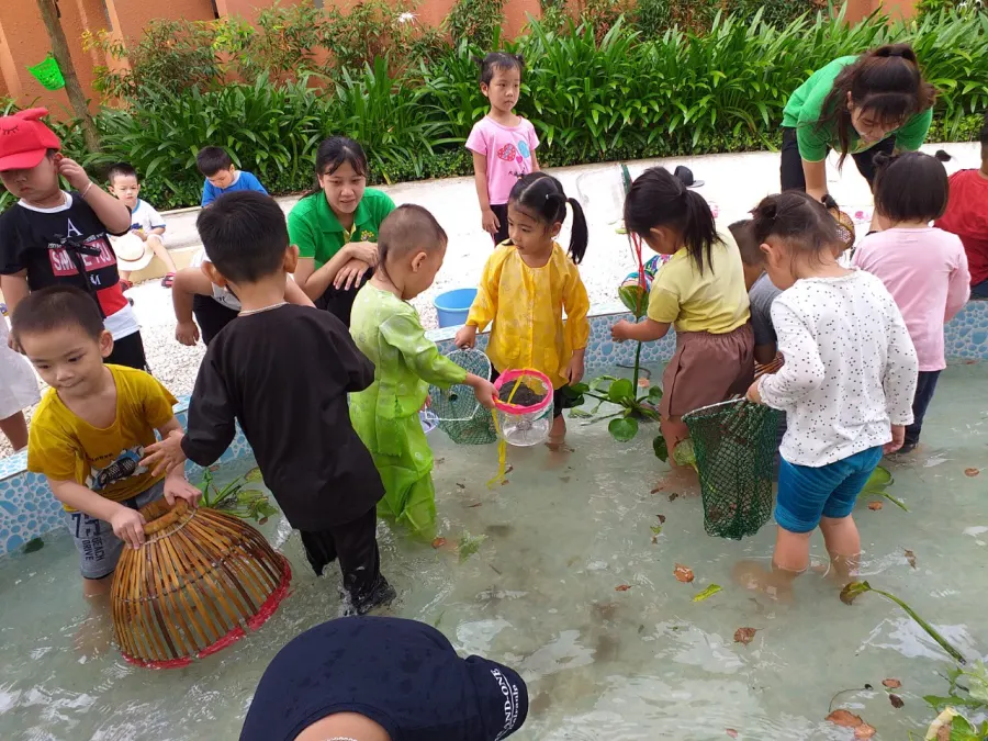Trường Mầm non Tổ Ong Vàng