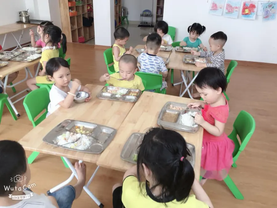 Trường mầm non Ong Vàng (Gold Bee Kindergarten)