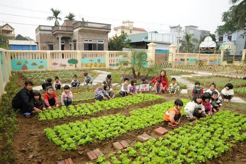 Trường Mầm non Bắc Hồng