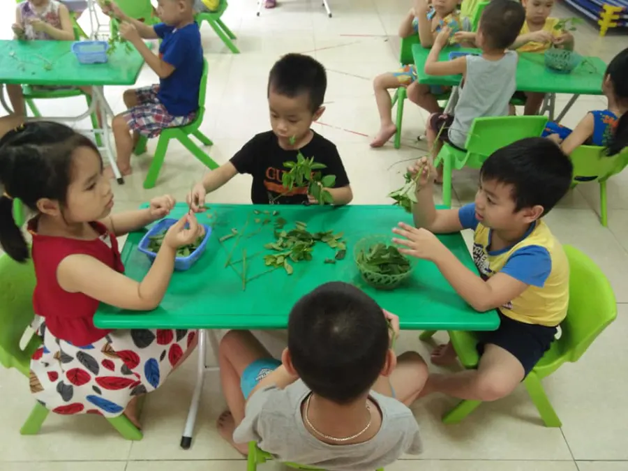 Trường mầm non Family