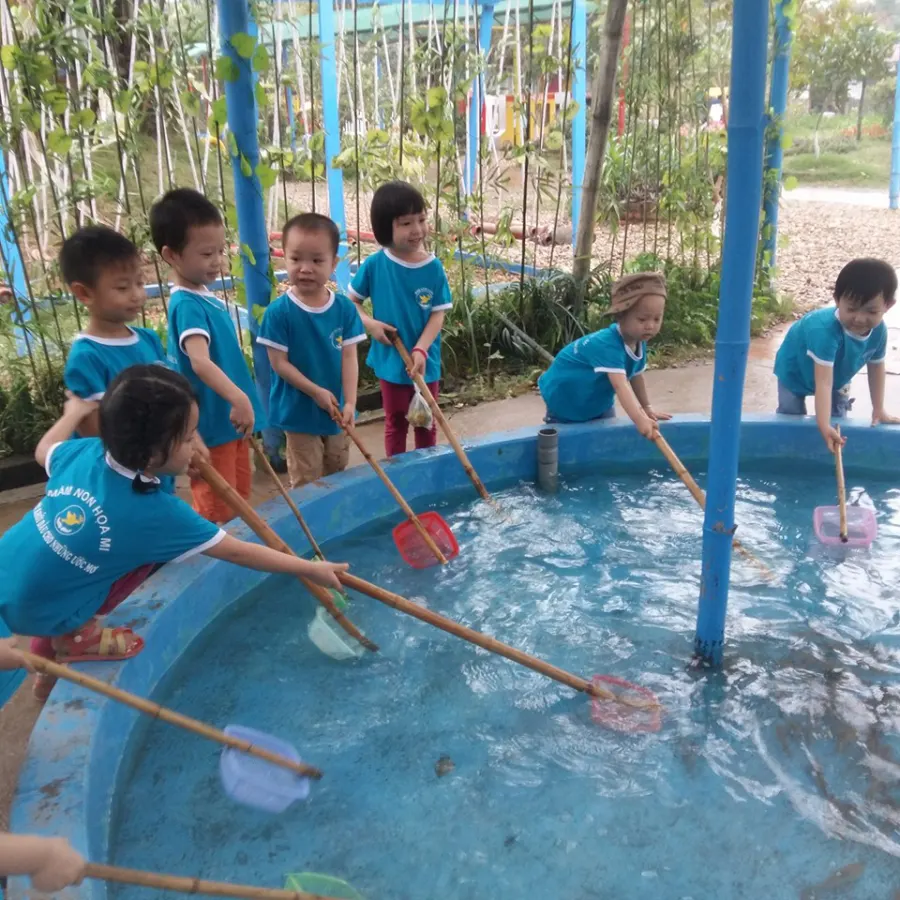 Trường mầm non Họa Mi - Chi Đông, Mê Linh