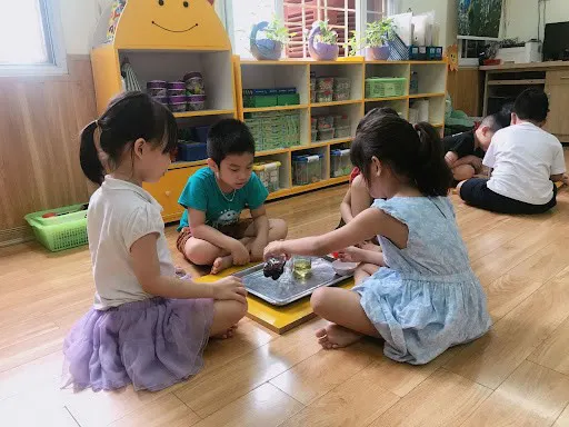 Mầm Non Thảo Quyên
