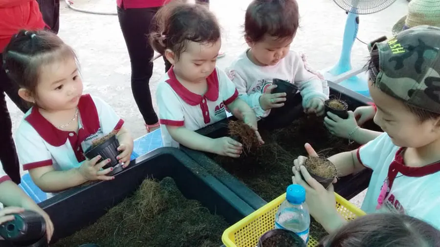 Trường mầm non Việt Mỹ Sài Gòn