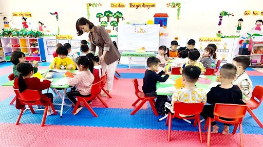 Mầm Non Hoa Mặt Trời