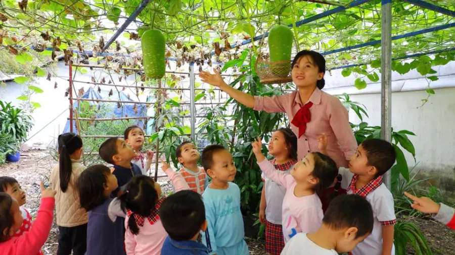 Trường mầm non Hoa Mai 2