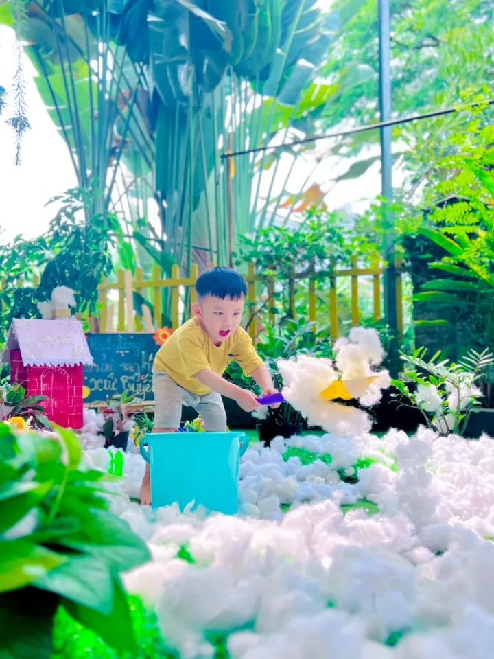 Hệ thống Trường mầm non Little Bean (Little Bean School) - Phước Long B
