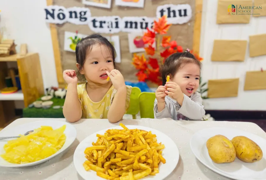 Hệ thống mầm non American School ASG -Reggio Inspired