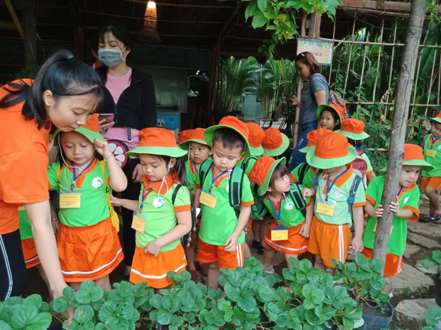 Trường mầm non CLC Hoàng Gia - Bình Trị Đông