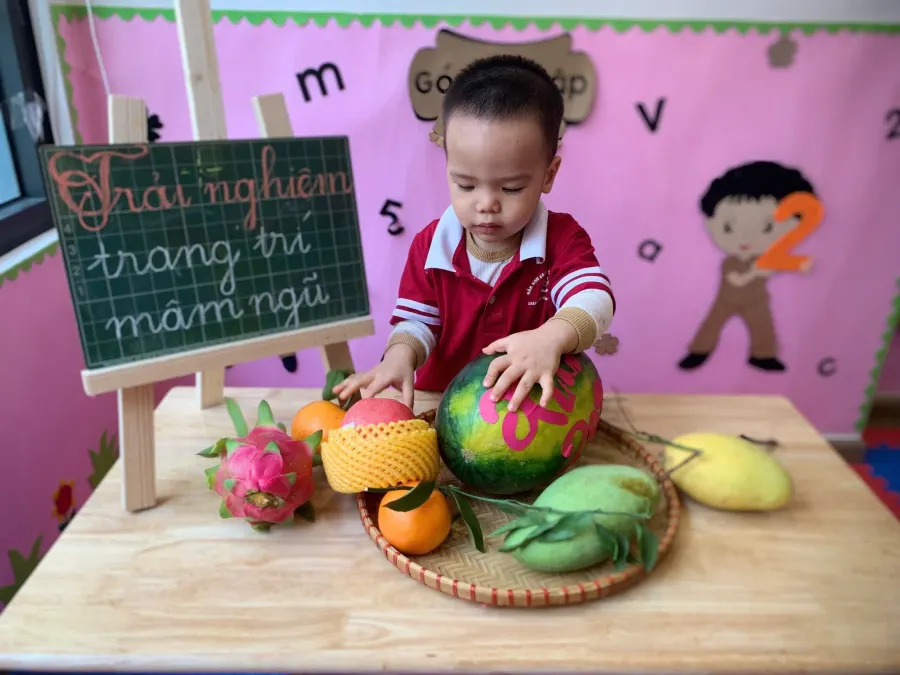 Trường Mầm Non Song Ngữ Sao Mai