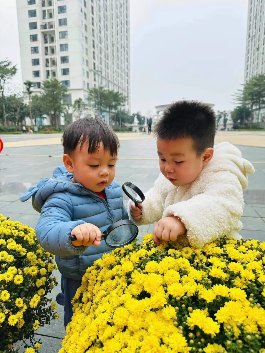 Trường Mầm non Greenery Kindergarten