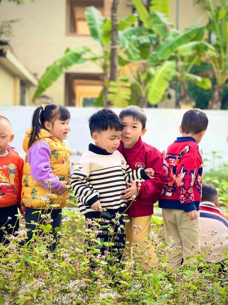 Trường Trường Liên cấp Mầm non, Tiểu học Starlight