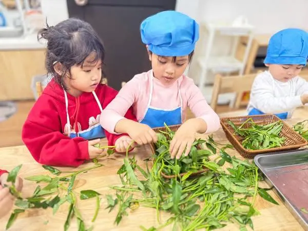 Trường Mầm non Kids house - Vinhome ocean park