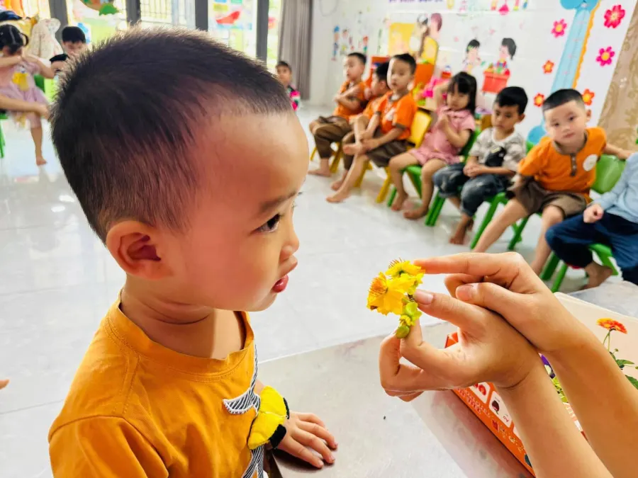 Lớp Mẫu Giáo Độc Lập Hoa Trà My