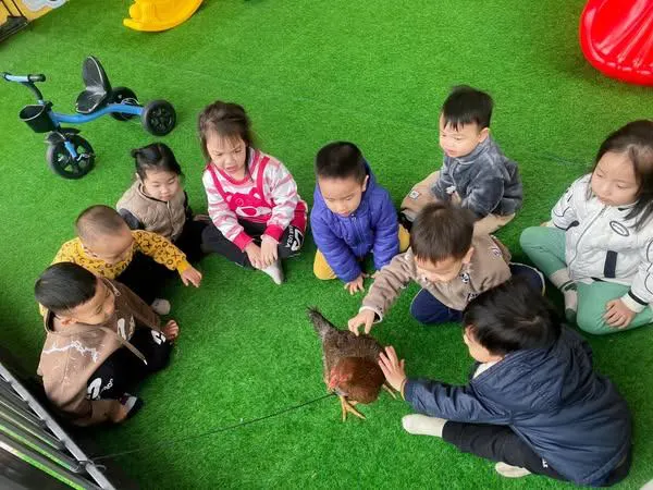 Trường Mầm Non Độc Lập Cầu Vồng