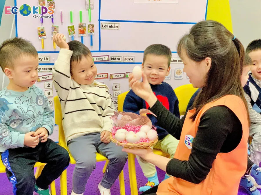 Mầm Non song ngữ Ecokids Anland