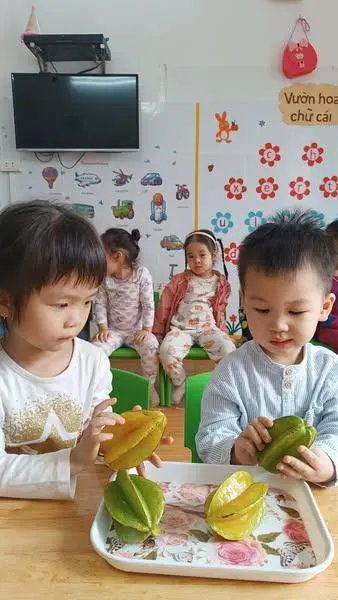 Mầm Non Hoa Trạng Nguyên - IQ School